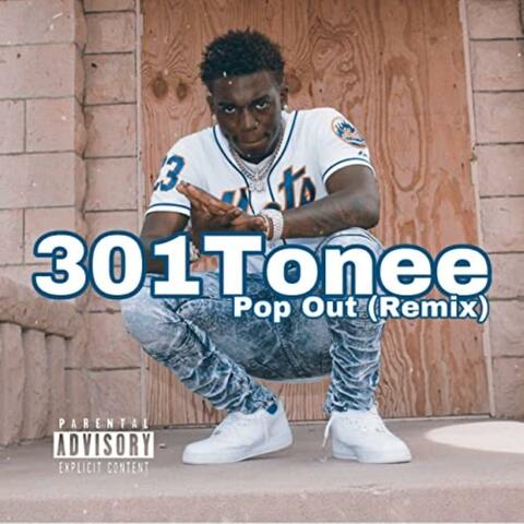 301shit