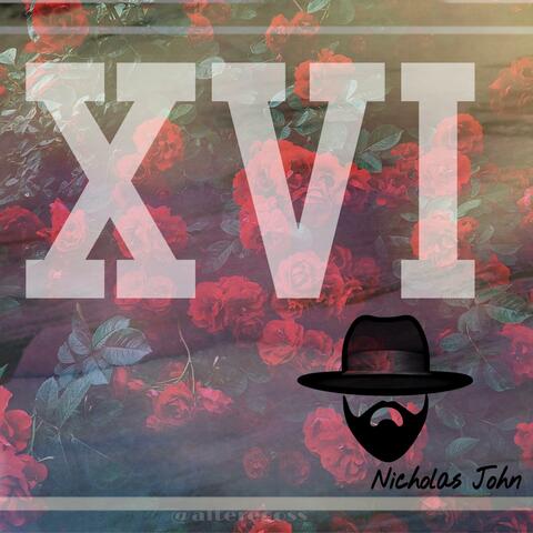 XVI