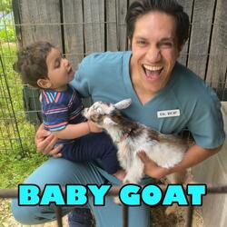 Baby Goat