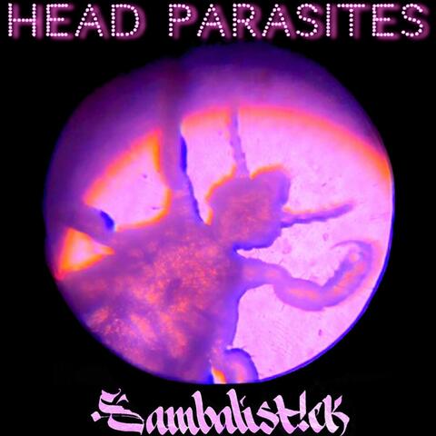 Head Parasites