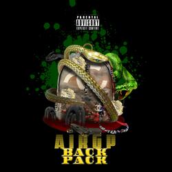 Back Pack