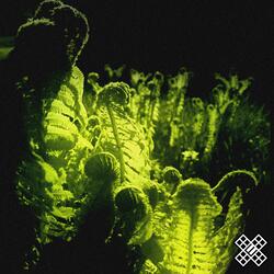 Brutalist Tower of Water