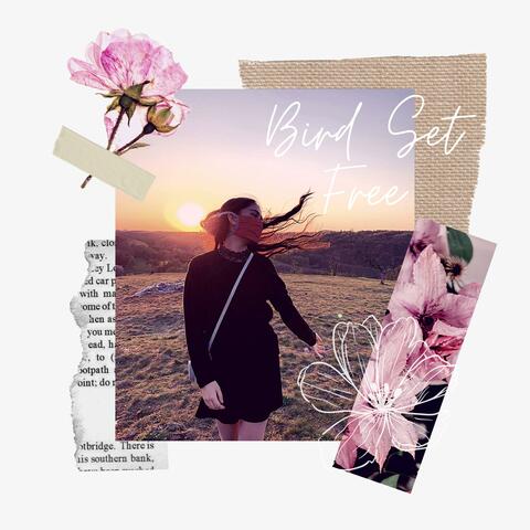 Bird Set Free