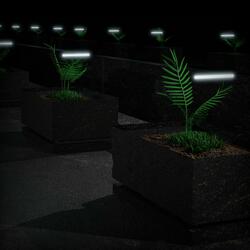 Digital Rainforest