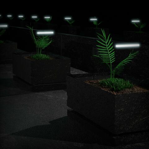 A Living World