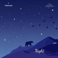 Night
