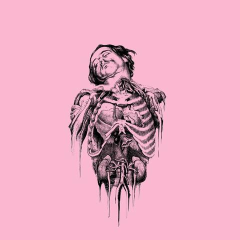 Human Muses