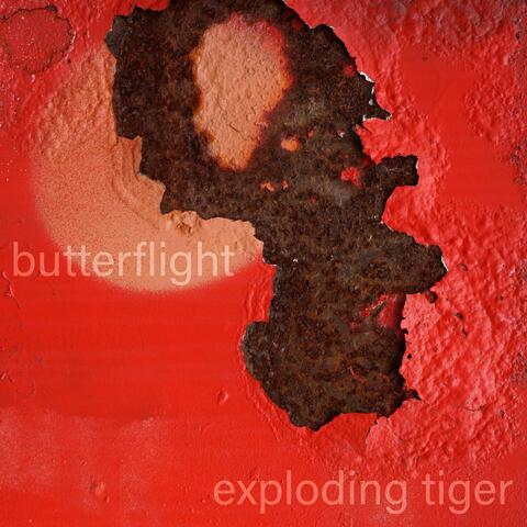 Butterflight