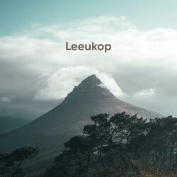 Leeukop