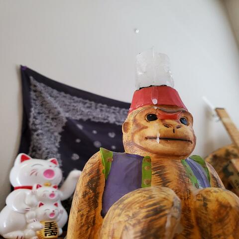 Mr. Monkey