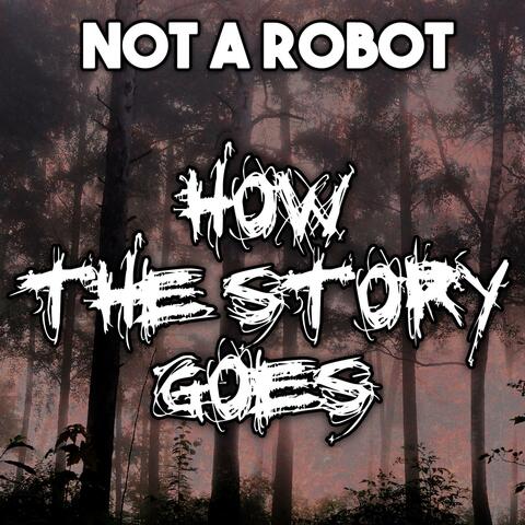 How the Story Goes (feat. TryHardNinja)