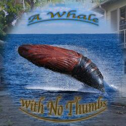 A Whale With No Thumbs