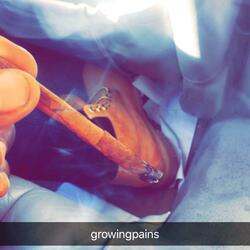 Four Seasons Freestyle