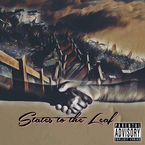 John J & Stotty P & King Low