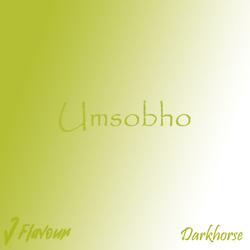 Umsobho (feat. Darkhorse)