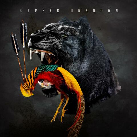 Cypher Unknown