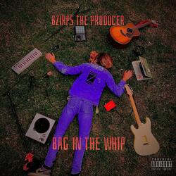 Bag in the Whip