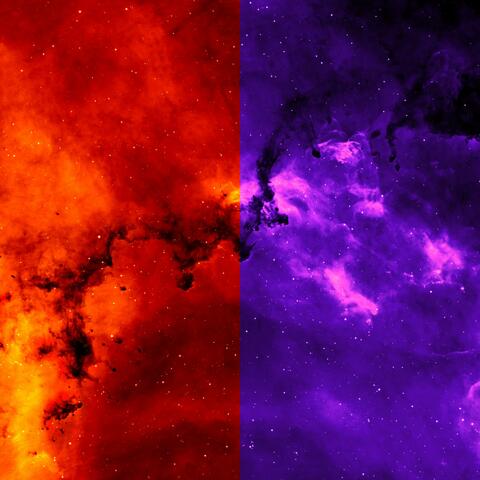 Variations With Force