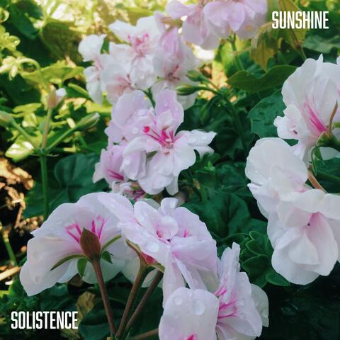 Sunshine