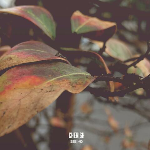 Cherish