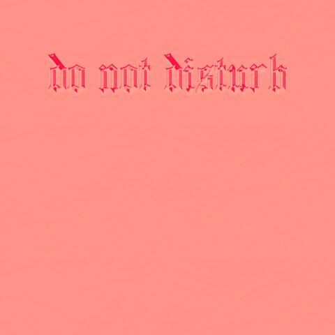 Do Not Disturb