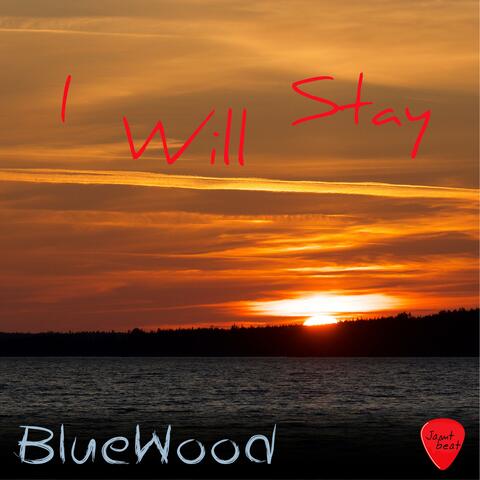 I Will Stay