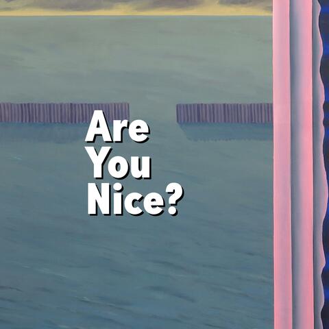 Are You Nice? (feat. Portier)