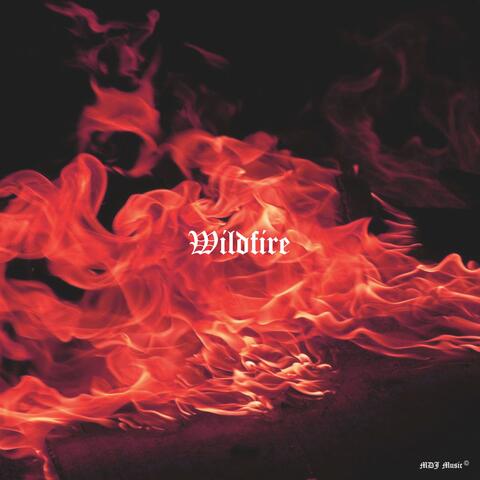 Wildfire