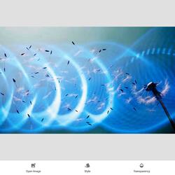 The Winds Never Change