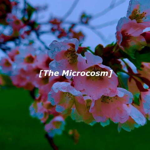 The Microcosm (Demo Version)