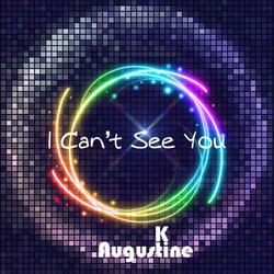 I Can't See You