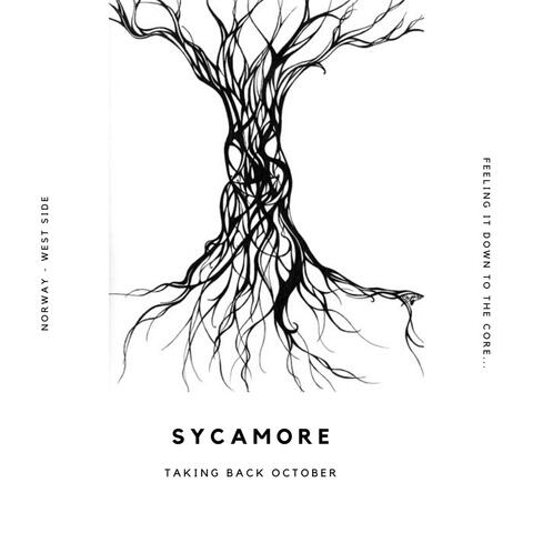 Sycamore