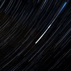 Mouse Master (Reprise)