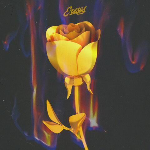 Golden Rose