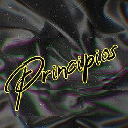 Principios