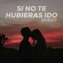 Si No Te Hubieras Ido