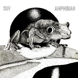 Amphibian