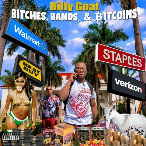 Bitches Bands and Bitcoins