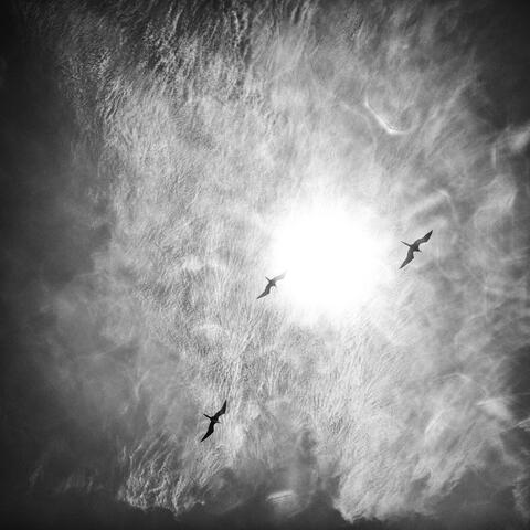 Interstellar