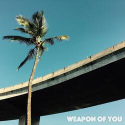 Weapon of You