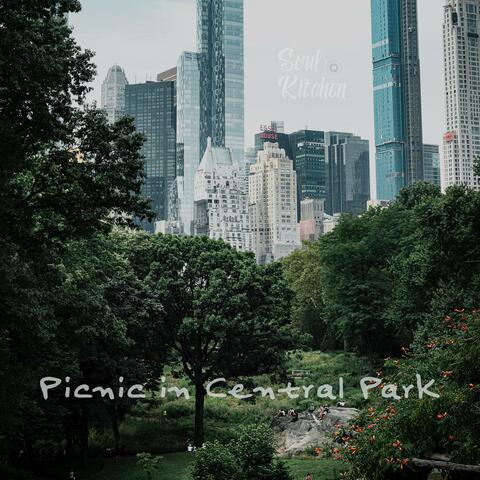 Picnic in Central Park