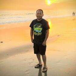 Just to See the Sun