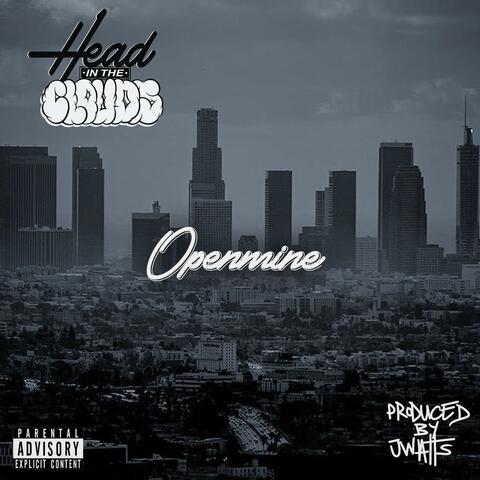 Head in the Clouds