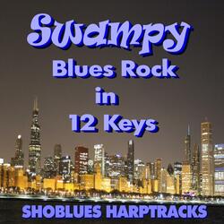 Swampy Blues Rock in C