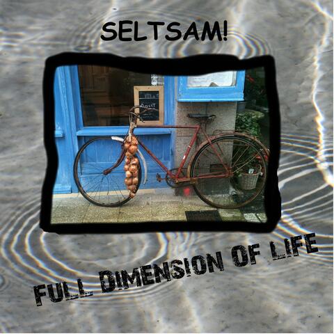 Full Dimension of Life