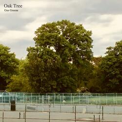 Oak Tree