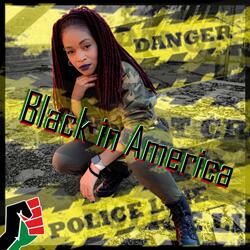 Black in America
