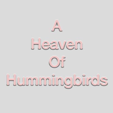 A Heaven of Hummingbirds