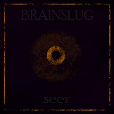 Seer