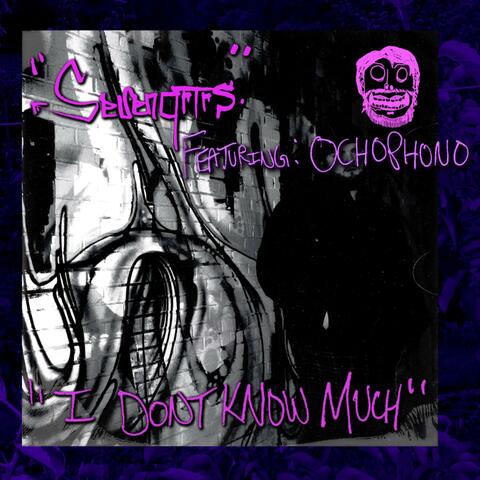 I Don't Know Much (feat. Ochophono AKA 8-BZA)